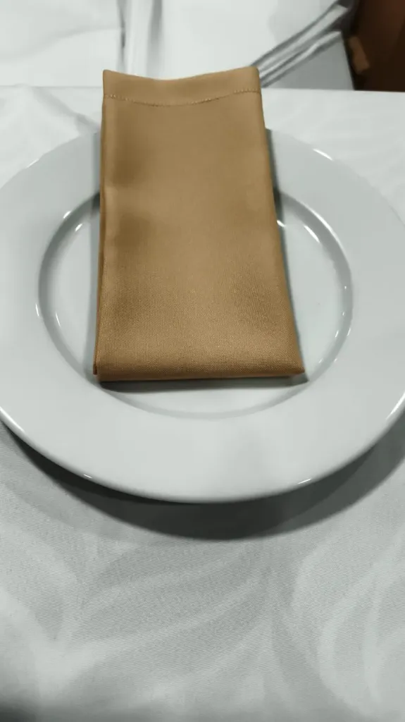 SERVILLETAS BEIGE BISTRECH 45 X 45